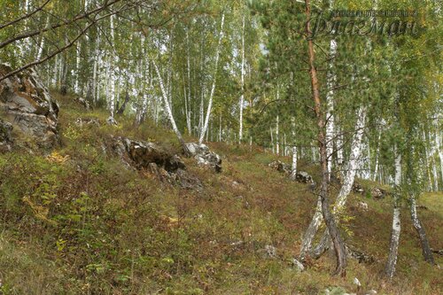 IMG_2609_r